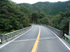 写真２