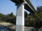 写真１