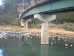 写真１